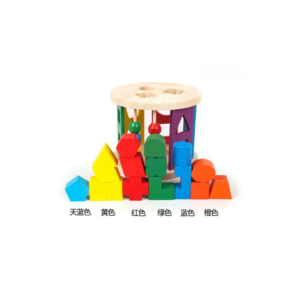 Wooden Shape Sorter & Bead Maze Learning Toy